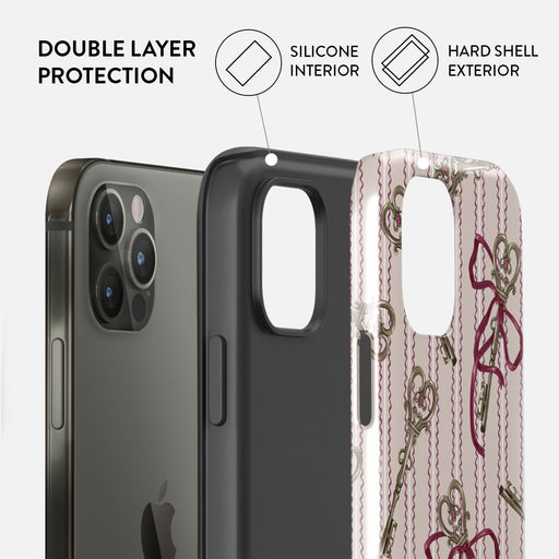 Unlocked - iPhone 12 Pro Case 2