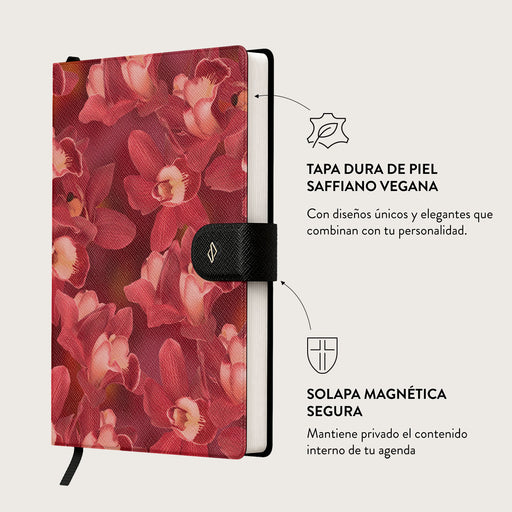 Goddess Energy - Cuaderno 3