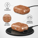 Earth Shell - AirPods Pro Case 3